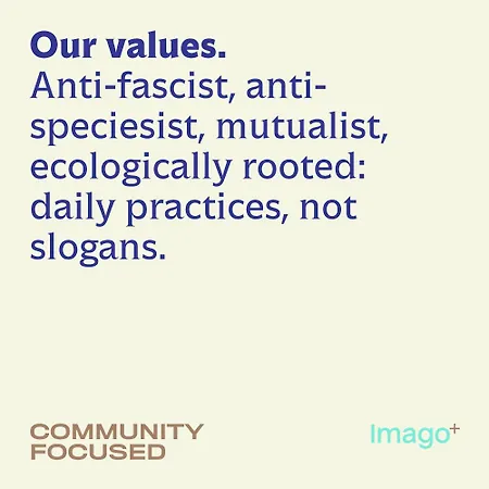Imago Бари